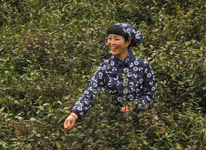 暗黑电影解析